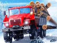 Truck Driver Snowy Roads image