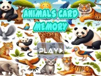 Animal cards memory image