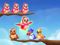 Birds Sort Color Match Puzzle image