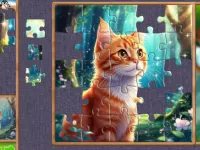 Fragments of Wonder image