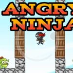 Ljutiti Ninja
