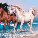 Slagalica životinja – Konji