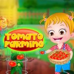 Uzgoj rajčica dječjih lješnjaka