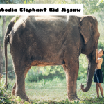 Slagalica za slonove iz Kambodže