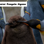 Jigsaw cara Pingvina
