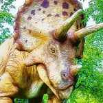Divovska zagonetka za triceratops