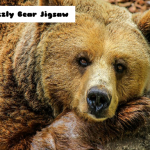 Sastav za medvjeda Grizzly