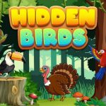 Hidden Birds