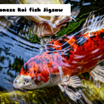 Japanska koi riba ubodna pila