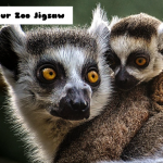 Slagalica u zoološkom vrtu Lemur