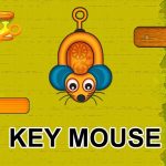Ključ miša