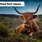 Jigsaw za škotsku govedinu