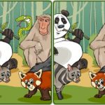 Safari divljih životinja pet razlike