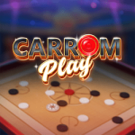 Carrom Play
