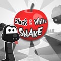 Crno-bijela zmija